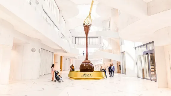 Stedentour in Zürich, Zwitserland + eendaagse tour naar het Lindt Chocolate House|Inclusief boottocht op het Zürichmeer