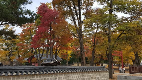 (Private tour)Jeonju City tour by KTX bullet Train from Seoul