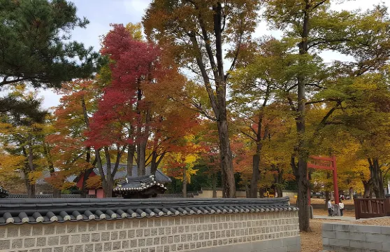 (私家團)從首爾乘搭KTX子彈火車前往全州市觀光