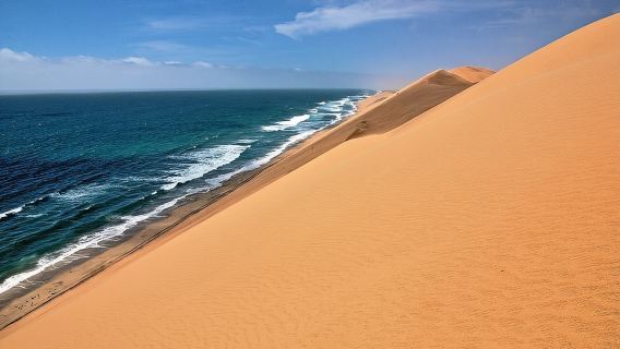 Escursione di mezza giornata a Sandwich Harbour