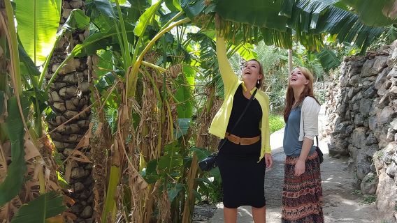 Nizwa- Al Hamra Old Village- Misfah Al Abryeen Full Day Tour