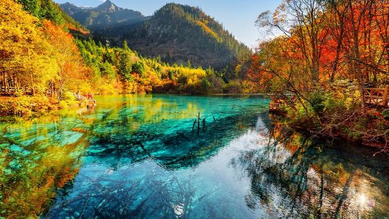 九寨溝-松潘高鐵站 (單程) 空調大巴接駁車