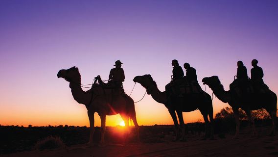 Northern Territory Uluru camel ride experience + sunrise/sunset viewing across Uluru + round-trip transfers