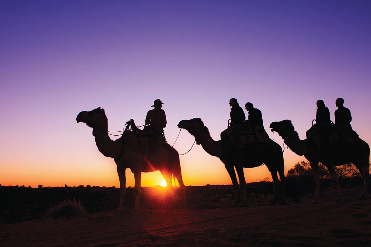 ประสบการณ์ขี่อูฐที่อุลูรูในเขตนอร์เทิร์นเทร์ริทอรี + ชมพระอาทิตย์ขึ้น/ตก เดินทางข้ามอุลูรู + บริการรถรับส่งไปกลับ