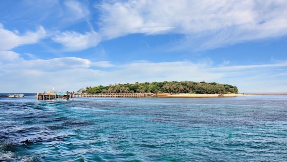 Big Cat Green Island full-day experience