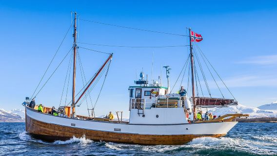 Half-Day Fishing & Fjord Cruise Adventure from Tromsø in Norway