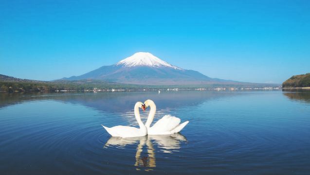 Mt. Fuji & Lakeside Wonders: Best Photo Spots Day Tour