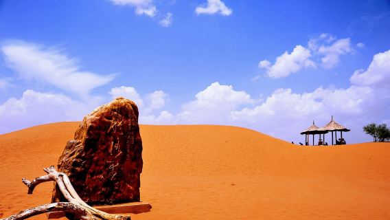 寧夏沙坡頭·騰格里沙漠·純玩1日遊