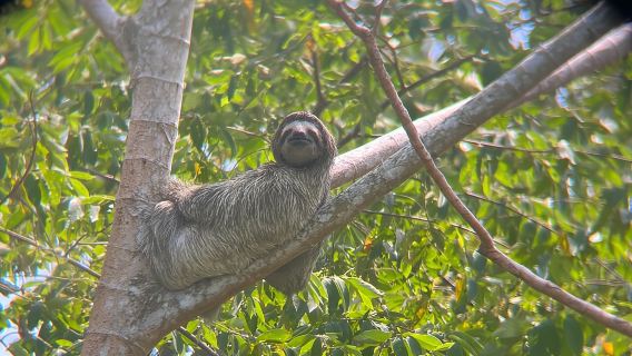 Terokai Terusan Panama dan Tasik Gatun dengan Kenaikan Hutan Hujan