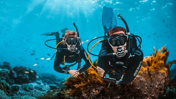 1-day diving and snorkeling experience in Pattaya, Thailand / Scuba OW certification / AOW certification / O+A certification [Optional certified or uncertified deep diving with Chinese-English instructors, Pattaya hotel transfers included]