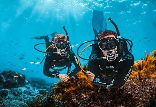 1-day diving and snorkeling experience in Pattaya, Thailand / Scuba OW certification / AOW certification / O+A certification [Optional certified or...