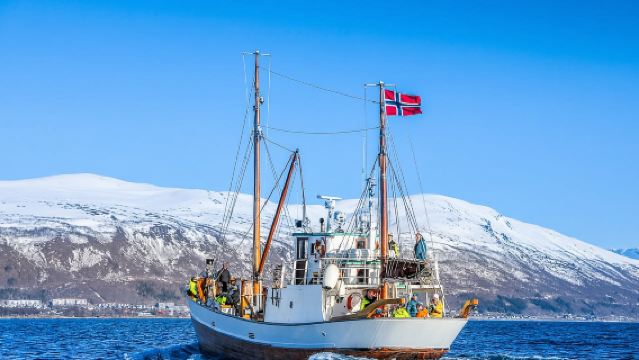 ノルウェー トロムソフィヨルドクルーズ クラシック遊覧船/軽食付き/釣りオプションあり