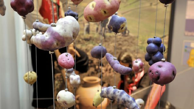 Entrada para el Museo de las Patatas Fritas