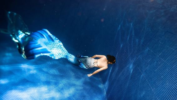 Parco centrale del distretto di Shuangliu di Chengdu + porto di Jiaolong · città di Haibin + parco oceanico Haohai Cube della città di Haibin: immersione subacquea/ immersione in apnea/immersione con le sirene (2 ore)