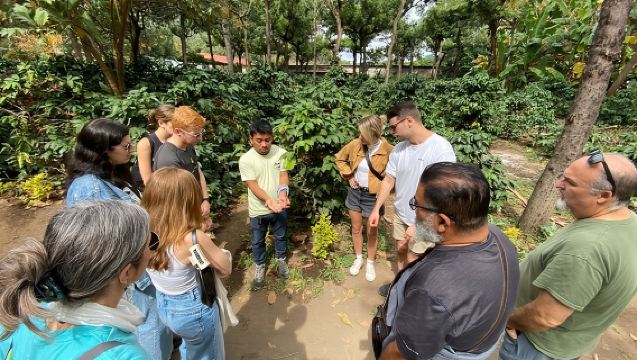 Tour en quad por las plantaciones de café de Antigua