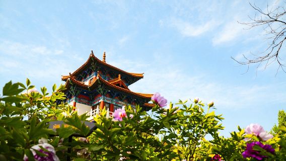 뤄양 박물관 + 왕청 공원 + 소림사 당일 치기 여행(영어 및 중국어)|다양한 차종 사용 가능