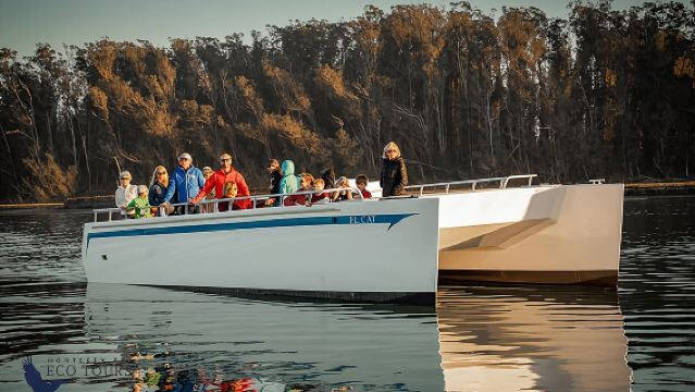 Lawatan Hidupan Liar Elkhorn Slough