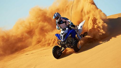 Morning Adventure Safari: CamelTrek QuadBike Sandboard Falcon Pic Day Tours 9