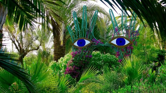 Ourika-Tal-Wasserfälle & Anima-Garten-Tour ab Marrakesch