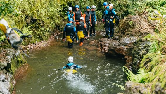 フンシャル:初心者向け半日キャニオニング体験