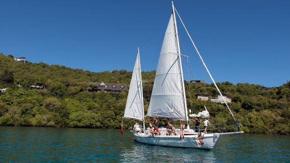 Taupō: Sail Barbary Eco Sailing to the Maori Rock Carvings