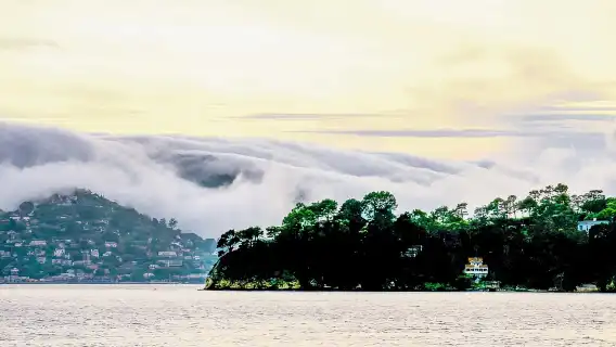 舊金山：舊金山城市之光遊船（2 小時）