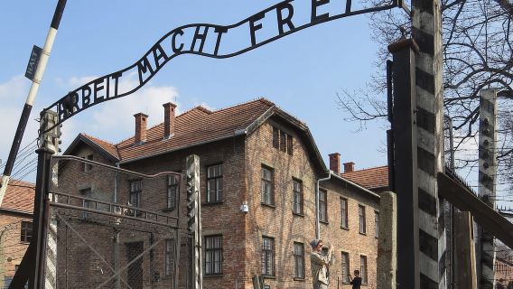 Auschwitz-Birkenau: Museum Entry Ticket with Guided Tour