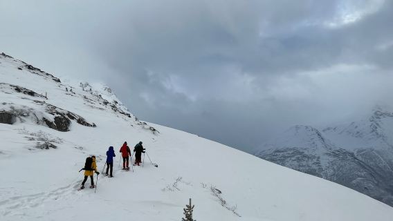 From Åndalsnes: Cable Car and Nesaksla Snowshoe Hike