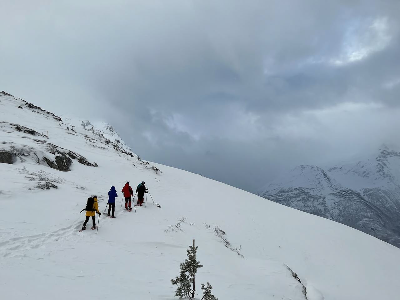 From Åndalsnes: Cable Car and Nesaksla Snowshoe Hike