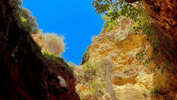 Dari Faro: Benagil, Algar Seco, Praia Marinha, 7 vales tour