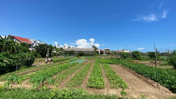 會安：鄉村自行車村莊之旅，搭配竹籃船體驗