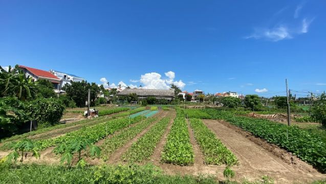 ฮอยอัน: ทัวร์ปั่นจักรยานชมชนบทสู่หมู่บ้านพร้อมล่องเรือตะกร้า