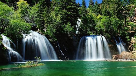 Oxapampa: Perené - Biodiversidad Amazónica