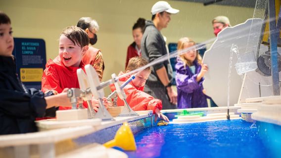 ชิคาโก: บัตรเข้าชมพิพิธภัณฑ์เด็กชิคาโก