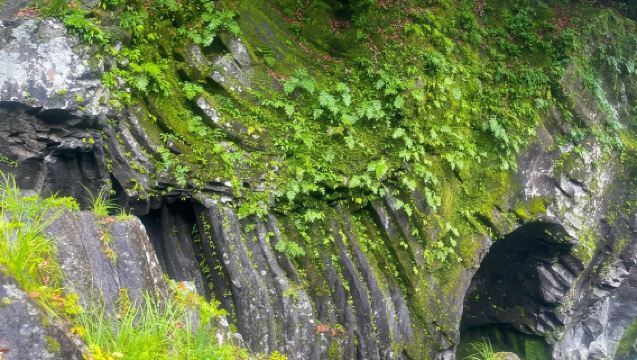 日本熊本+阿蘇山+草千里+熊神社+高千穗峽-經典火山行程