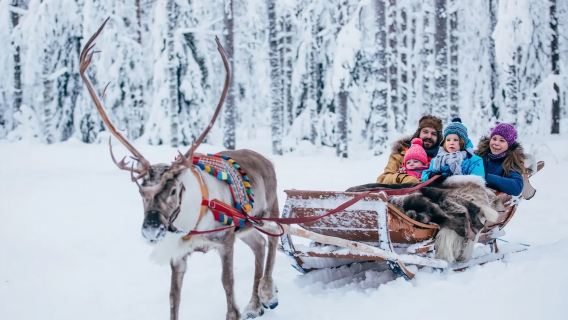Rovaniemi, Finlandia|Motoscafi da neve & Renne & Esperienza in slitta con husky