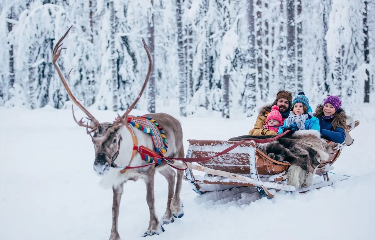 Rovaniemi, Finland|Snowmobile & Reindeer & Husky Sledding Experience
