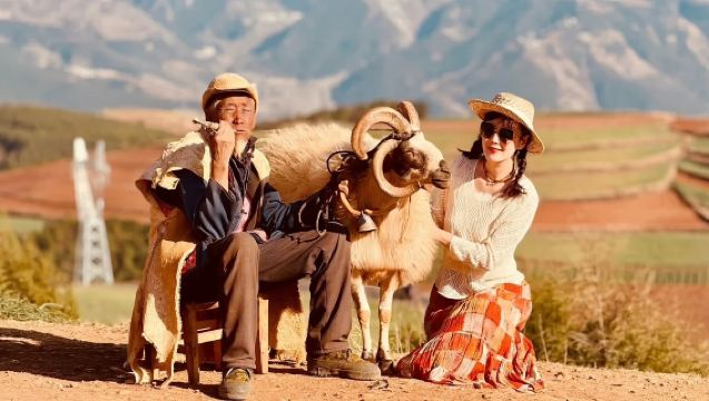 昆明東川紅土地包車一日遊：含來回高速+三環內接駁+純玩私家團