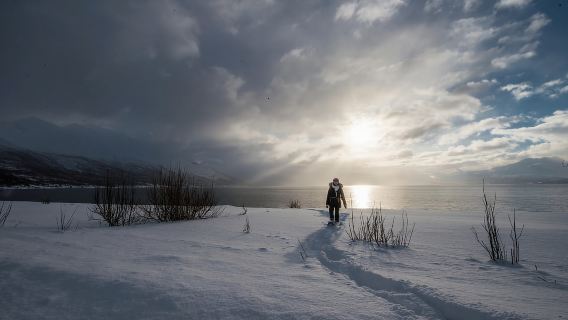 Tromsø: Snowshoe Hike to Lyngstuva Lighthouse with Lunch