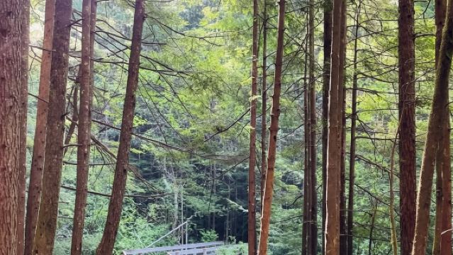 加拿大溫哥華-惠斯勒一日遊【中文包車自由行】