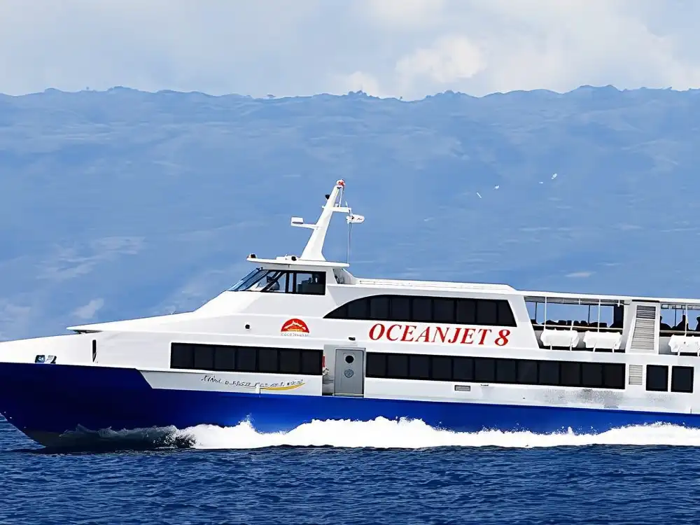 フィリピン・セブ-ボホール島-往復乗船チケット（エコノミークラス