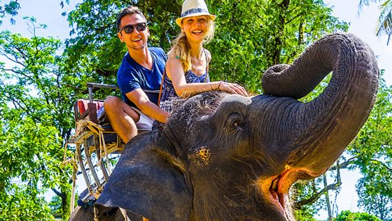 Таиланд Паттайя Сафари Слоновья деревня: катание на слонах/зиплайн/катание на лошадях/стрельба
