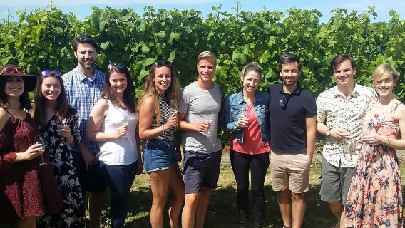 Half-Day Marlborough Wine Tour & Beer Tour