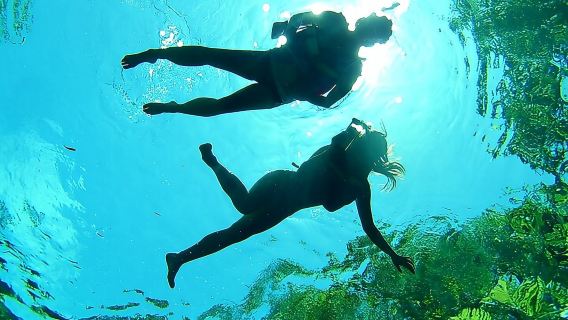 Tur Pribadi Cenote VIP (setengah hari)