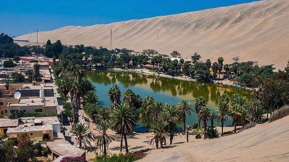 Full Day Paracas - Ica - Oasis Huacachina
