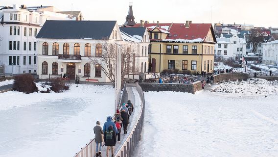 Tour a piedi per piccoli gruppi di Reykjavík - di CityWalk