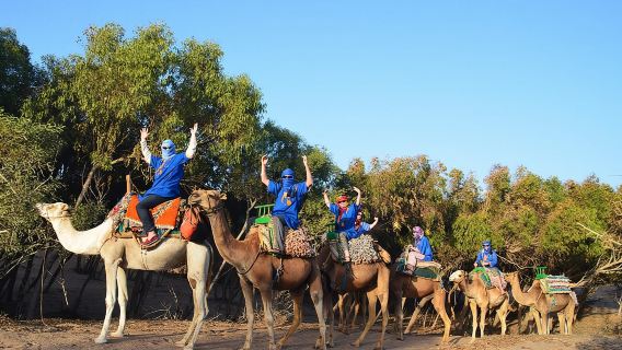 Essaouira 2-Hour Camel Adventure Ride