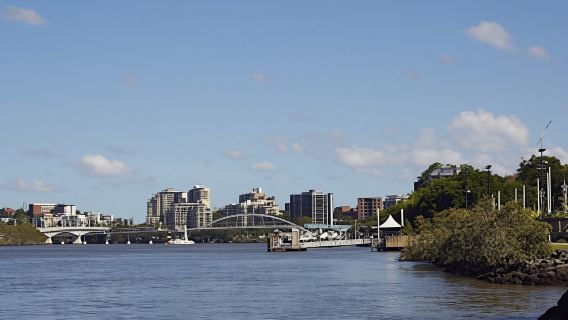 Koala and river cruise
