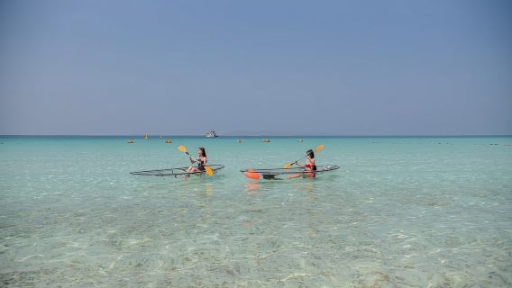 ทัวร์วันเดียว/ทัวร์หลายวัน เกาะล้าน พัทยา ประเทศไทย