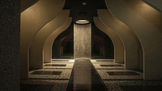 AquaField Steam Spa & Rooftop Pool